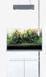 Ada Cube Cabinet Clear 60 Pet Supplies Homes Other Pet Accessories On Carousell