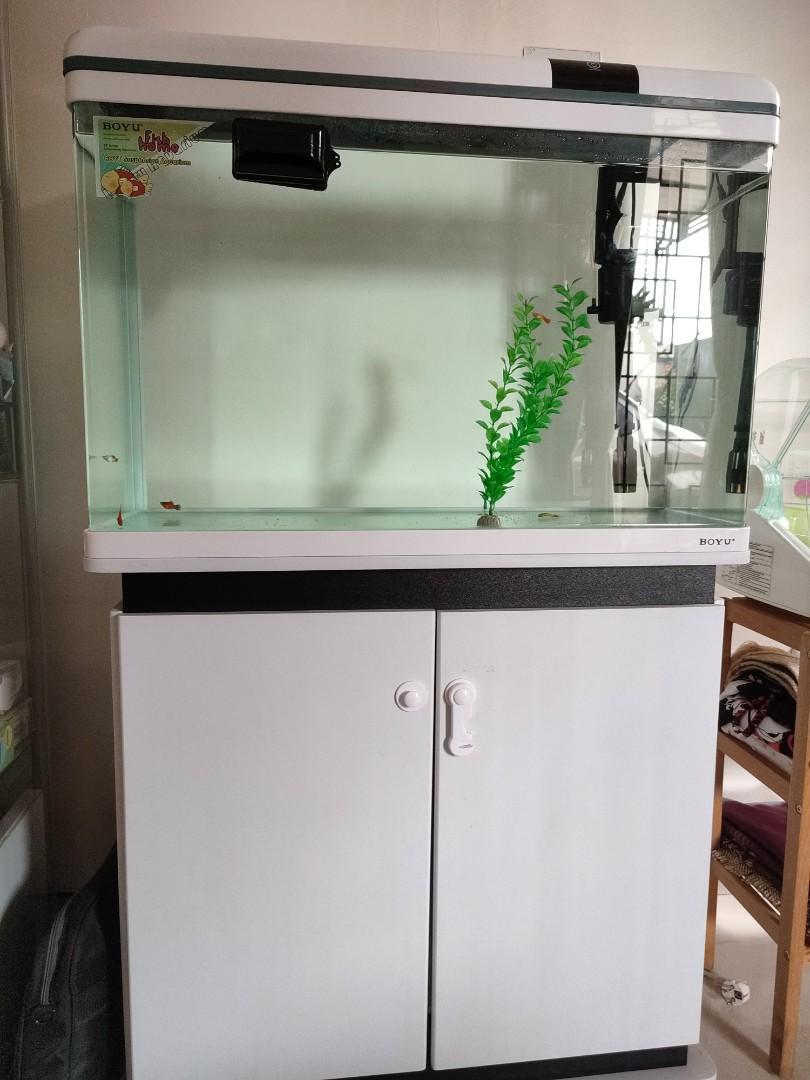 Aquarium Boyu Putih Perabotan Rumah Di Carousell Aquarium boyu 150 cm Aquarium Boyu Putih Perabotan Rumah Di Carousell Aquarium boyu 150 cm
