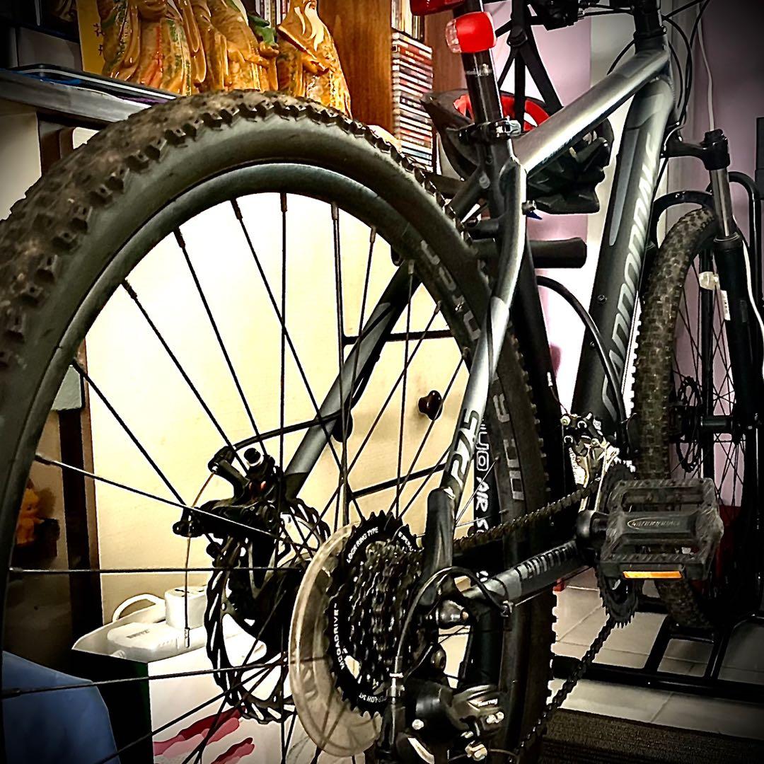 Cannondale catalyst 2021 sales