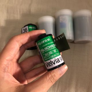 （分類：）位於 。 由 urbanflora 提交（商品編號 1082770343，圖片 1）。簡介： 。