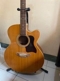 Acoustic Guitar (free stand and capo)