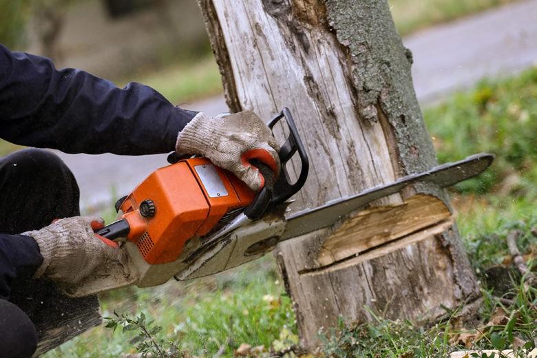 Khidmat Tebang Pokok Dan Pembersihan Kawasan Services Others On Carousell