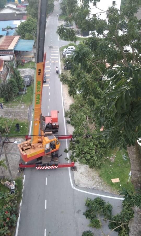 Khidmat Tebang Pokok Dan Pembersihan Kawasan Services Others On Carousell