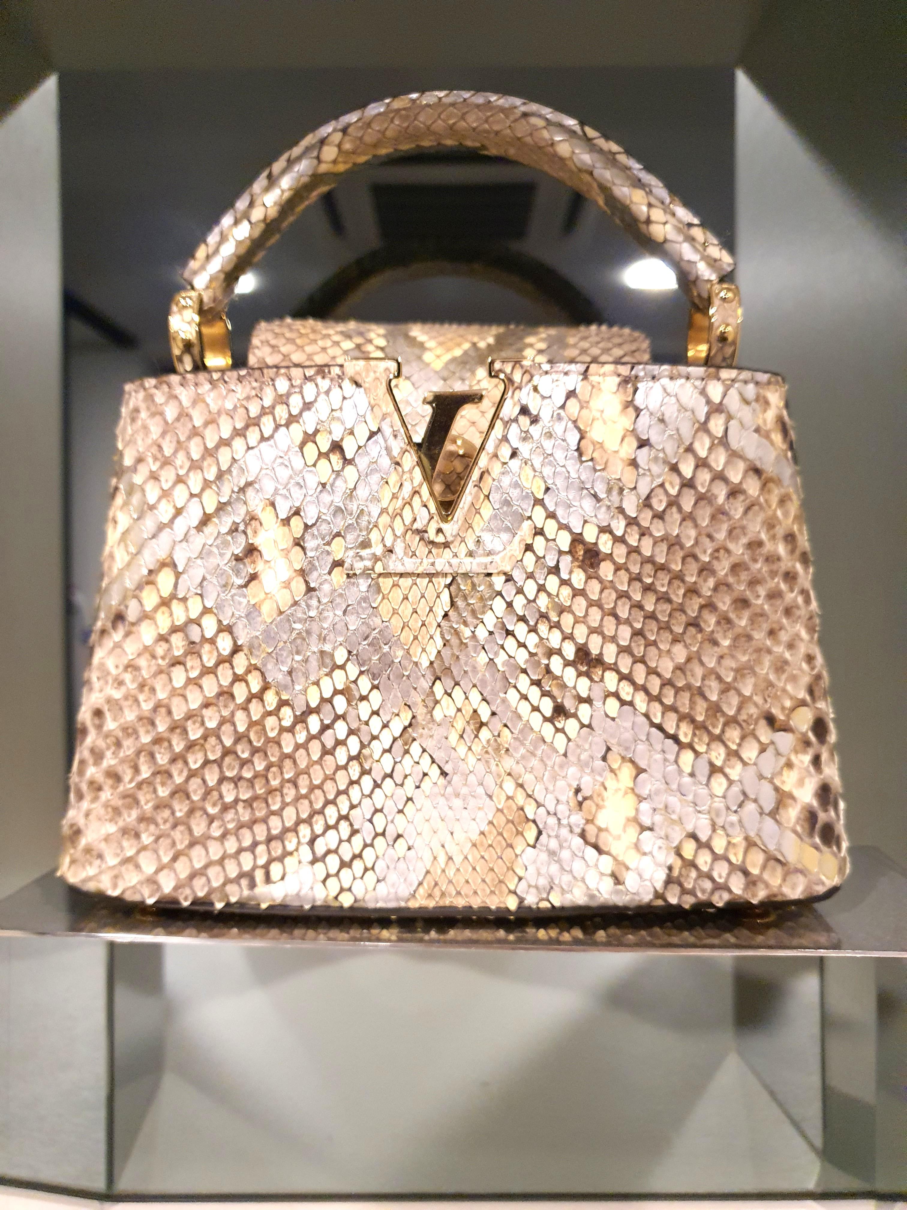 Capucines python handbag Louis Vuitton Gold in Python - 24806149