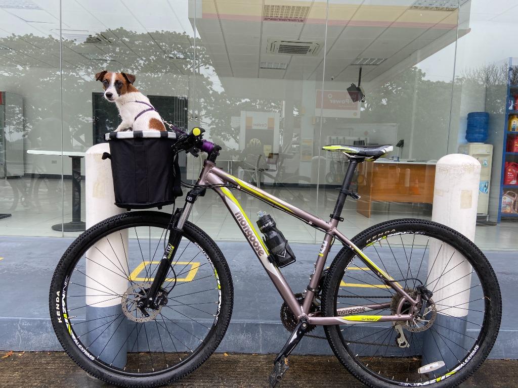 Mongoose tyax 9r hotsell sport