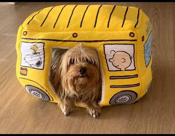 snoopy dog bed