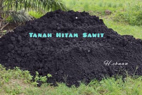 Tanah Hitam Sawit Topsoil Home Furniture Gardening On Carousell
