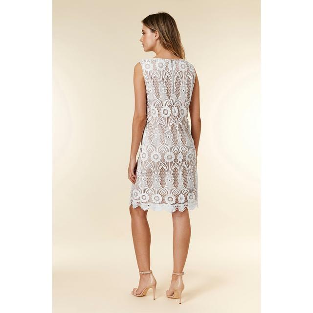 Wallis discount ladies fashion