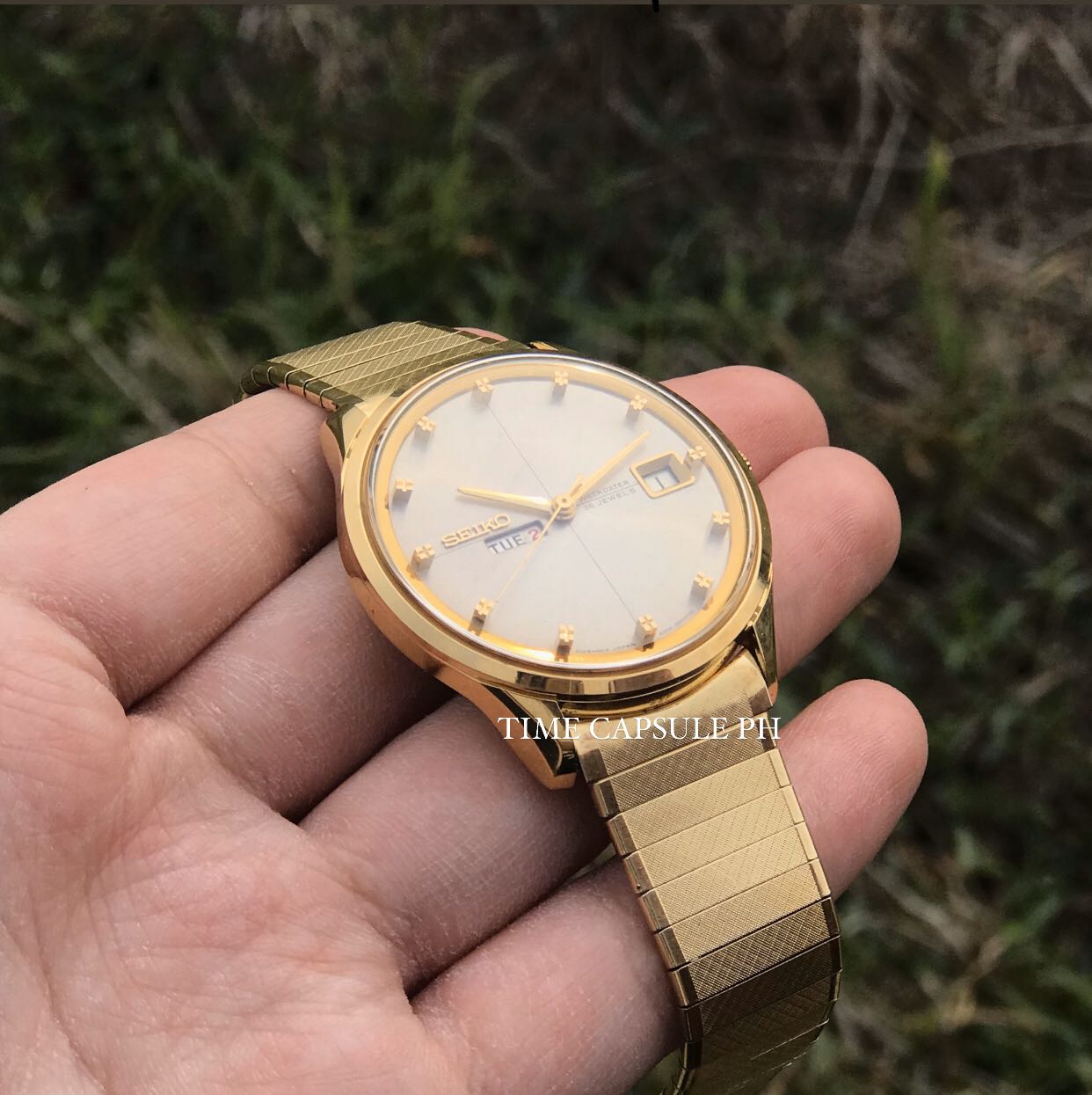 Seiko sea clearance lion m55 price