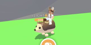 （分類：）位於 。 由 cinayann 提交（商品編號 1082926849，圖片 1）。簡介： 。