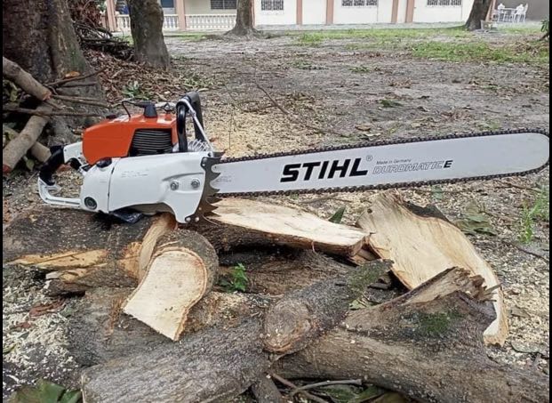 Ms070 chainsaw clearance