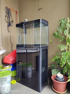 (Category: ) located in . Submitted by charles_525 (Listing ID 1083111790, Image 1). Description: .