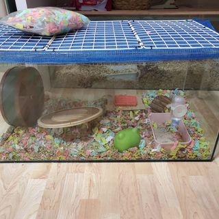 (Category: ) located in . Submitted by peachyp (Listing ID 1083364383, Image 1). Description: .