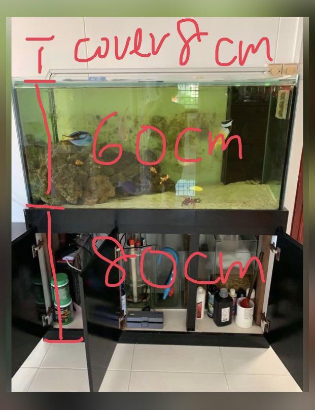 4 Ft Fish Tank with sump tank , Pet Supplies,