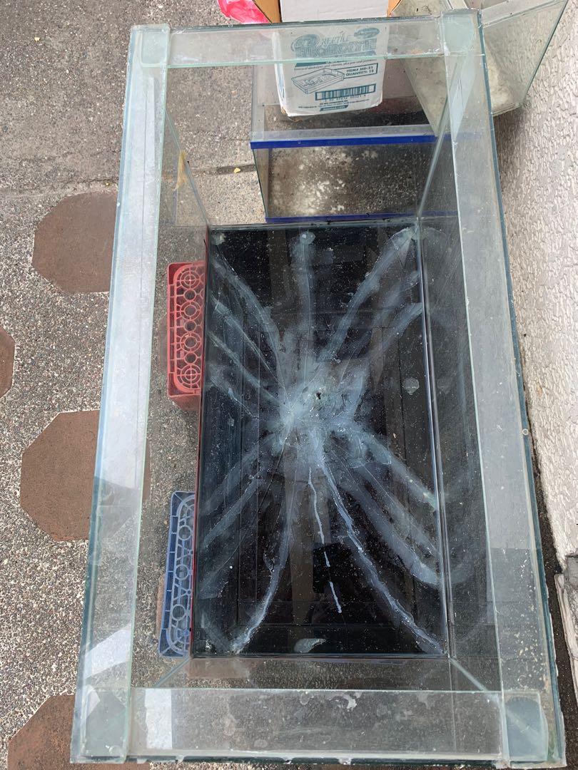 Aquarium Tank (Category: Homes & Other Pet Accessories) located in Quezon City. Submitted by ladiesman_217 (Listing ID 1083307898, Image 1). Description: Selling my 35 gallons aquarium Issue: basag yung base, wala ng styro Pwede pa naman siya pagawa pero wala ng time for it Item is in QC. Can ship by lalamove and payment thru gcash.