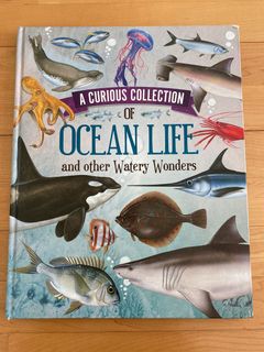 （分類：）位於 。 由 sdolphins 提交（商品編號 1083326600，圖片 1）。簡介： 。