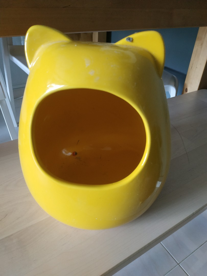 Chinchilla ceramic house, Pet Supplies, Homes & Other Pet Accessories