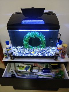 (Category: ) located in . Submitted by diptarag (Listing ID 1083401650, Image 1). Description: .