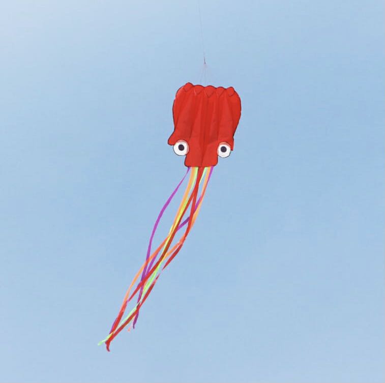 Octopus kite with 260 m reel, Hobbies & Toys, Toys & Games on Carousell