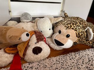 (Category: ) located in . Submitted by pamelyn (Listing ID 1083274358, Image 1). Description: .
