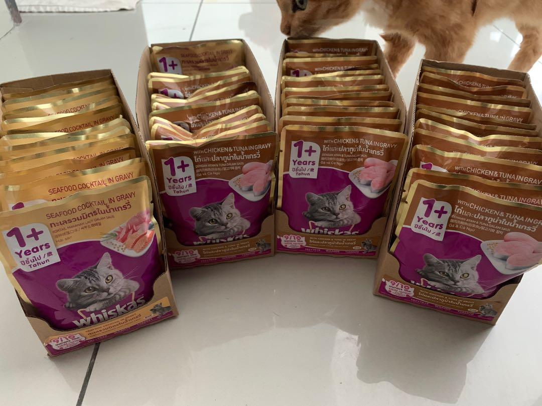 Whiskas 1+ Pet Food for Kittens, Pet Supplies, Pet Food on Carousell