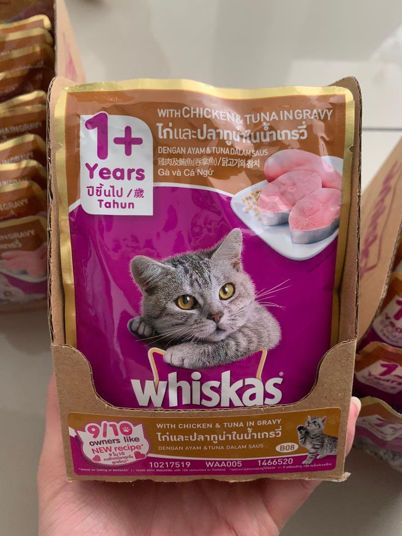 Whiskas 1+ Pet Food for Kittens, Pet Supplies, Pet Food on Carousell