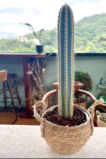 （分類：）位於 。 由 k.laplante 提交（商品編號 1083483926，圖片 1）。簡介： 。