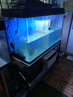 (Category: ) located in . Submitted by byulhaqs (Listing ID 1083450898, Image 1). Description: .