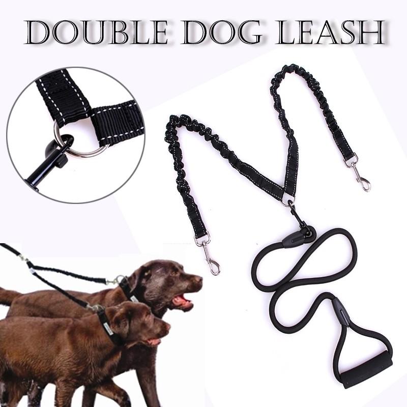 pets on leash