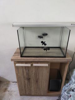 (Category: ) located in . Submitted by byulhaqs (Listing ID 1083566520, Image 1). Description: .