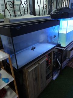 (Category: ) located in . Submitted by byulhaqs (Listing ID 1083450573, Image 1). Description: .