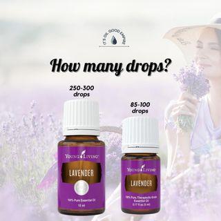 Lavender Essential Oil 15ml