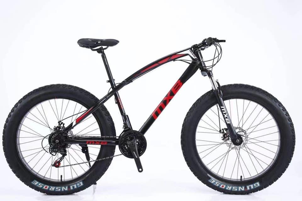 Roulik avalanche fat bike price top
