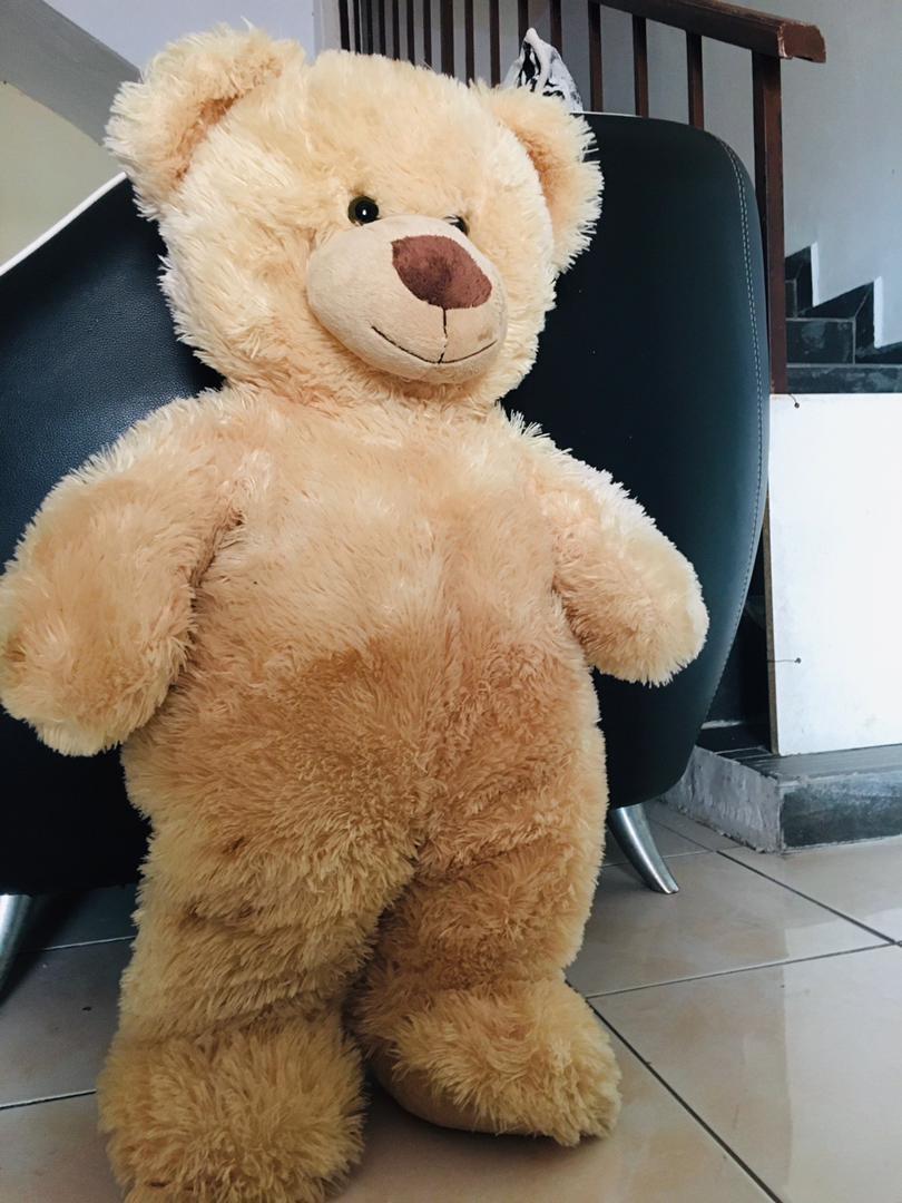 Teddy bear on sale besar