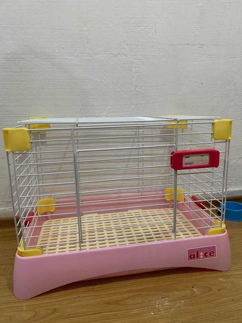 Alice 2025 rabbit cage