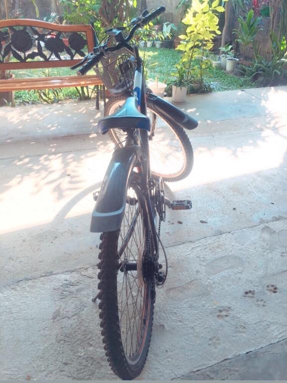 Avp 2610 mountain bike online