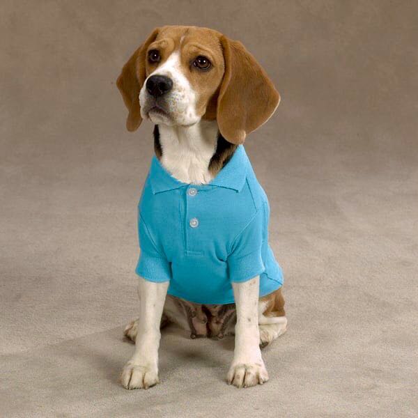 Casual canine dog clothes Clearance