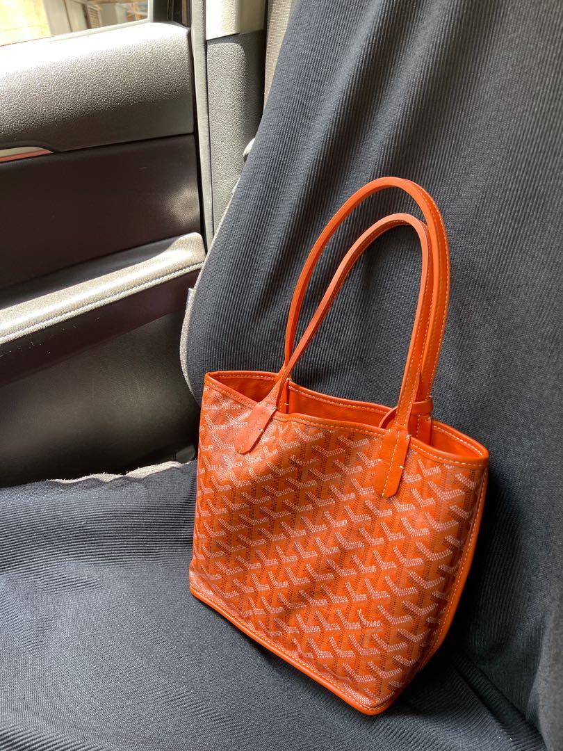 Goyard Mini Anjou Reversible in 2023  Brown handbag, Affordable bag, Goyard