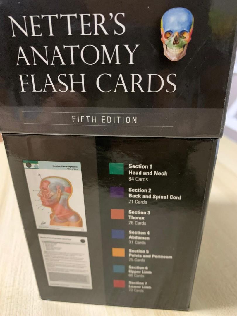 Netters anatomy flash cards 5th edition, Hobbies & Toys, Toys & Games