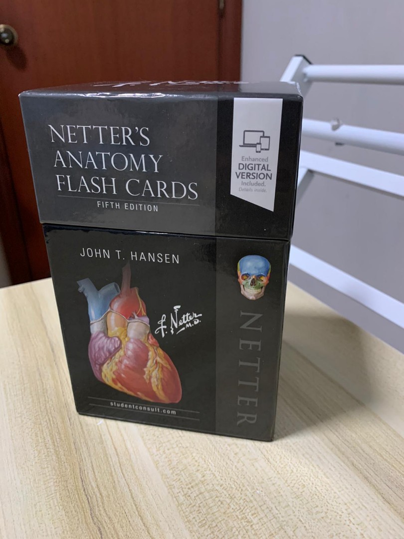 Netters anatomy flash cards 5th edition, Hobbies & Toys, Toys & Games