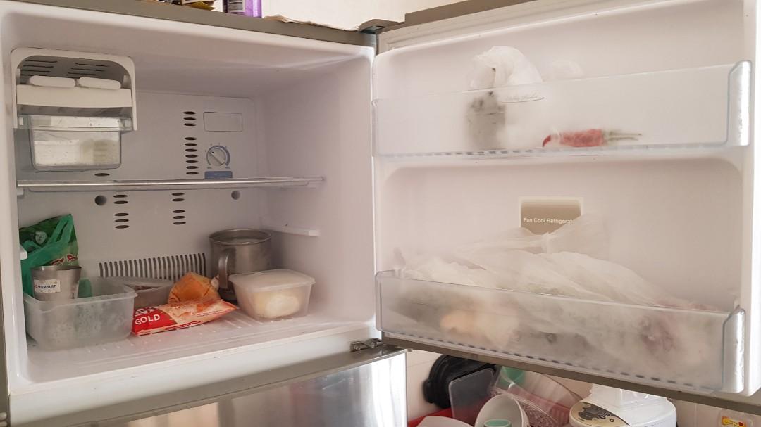 Toshiba online 520l fridge
