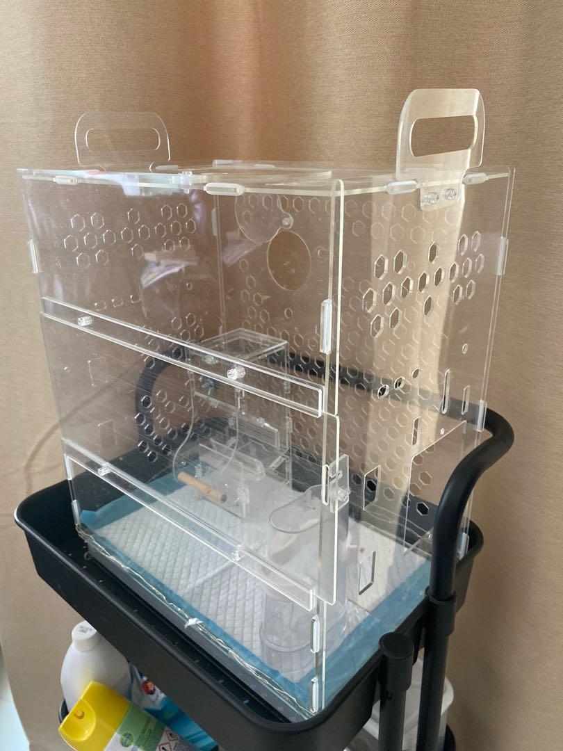 acrylic bird cage, Pet Supplies, Homes & Other Pet Accessories on Carousell