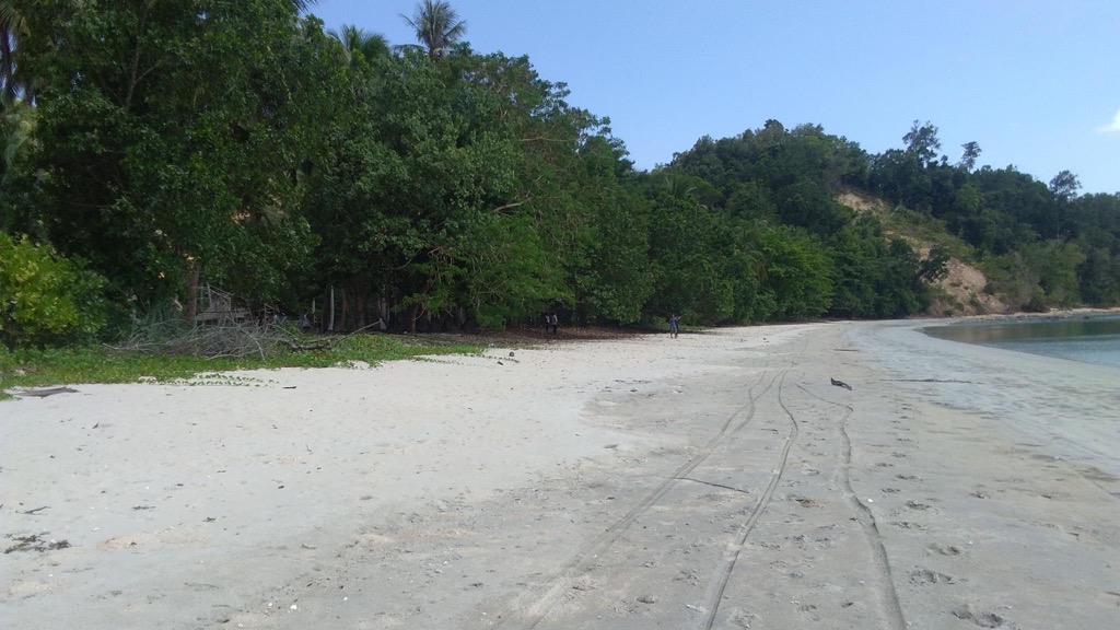 Lot For Sale in San Vicente, Palawan, Property, For Sale, Lot on Carousell