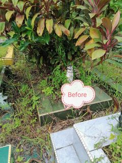 (Category: ) located in . Submitted by belovedservices (Listing ID 1083912665, Image 1). Description: .