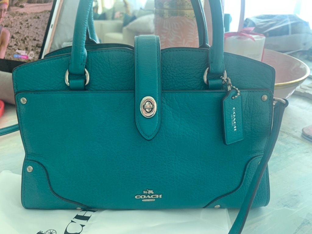 Coach, Leather Bag, Luxury, Bags & Wallets on Carousell