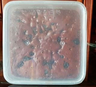 (Category: ) located in . Submitted by the.garden (Listing ID 1083963566, Image 1). Description: .
