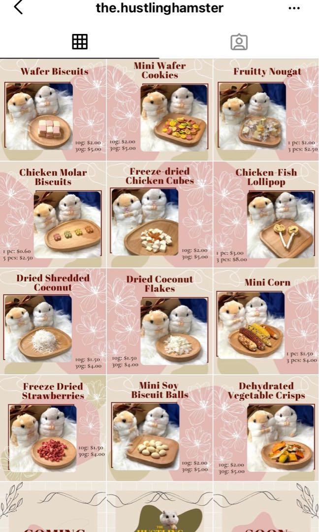 Hamster food online clearance
