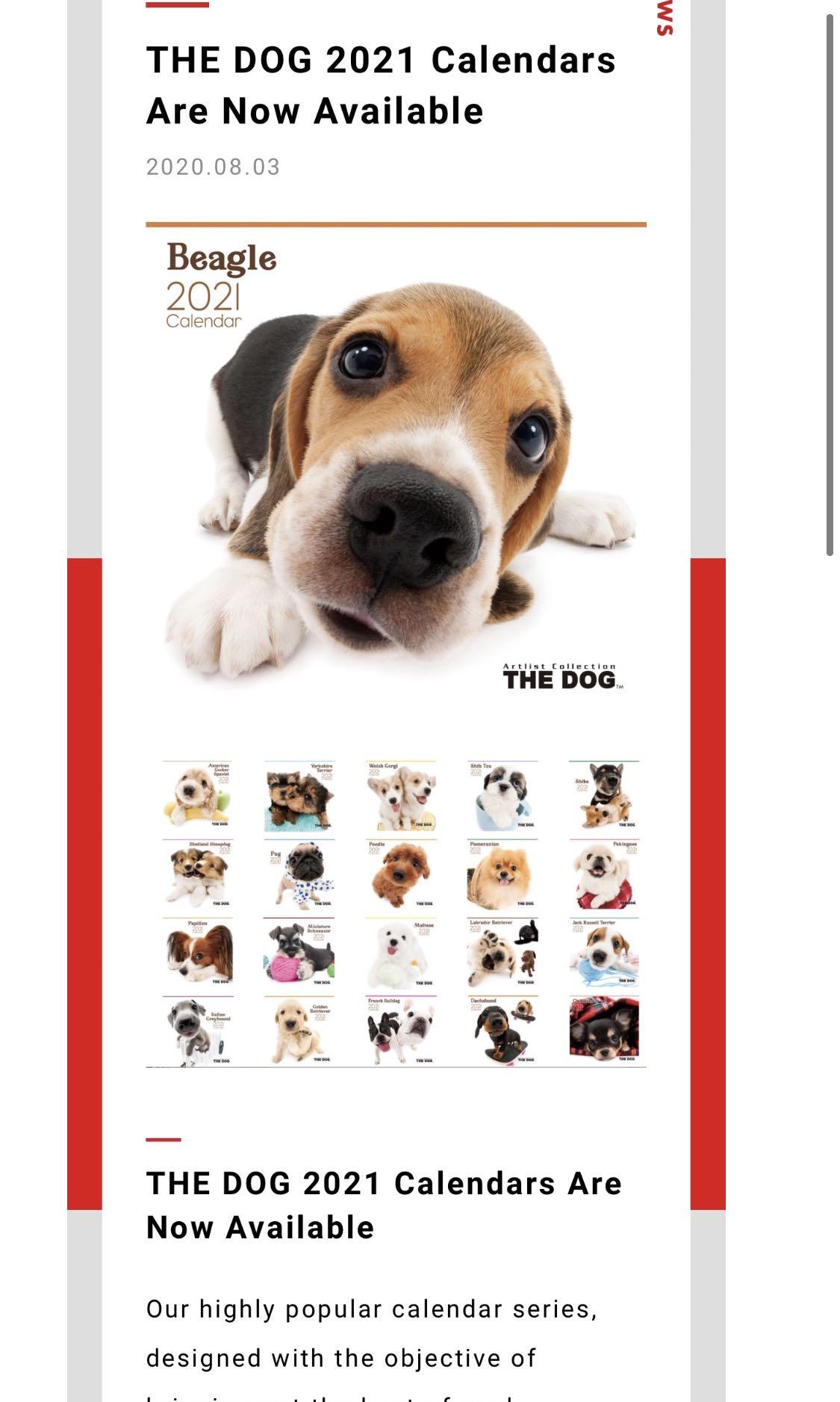 Japan Artlist Collection The Dog The Cat 2021 Wall Calendar Collectible