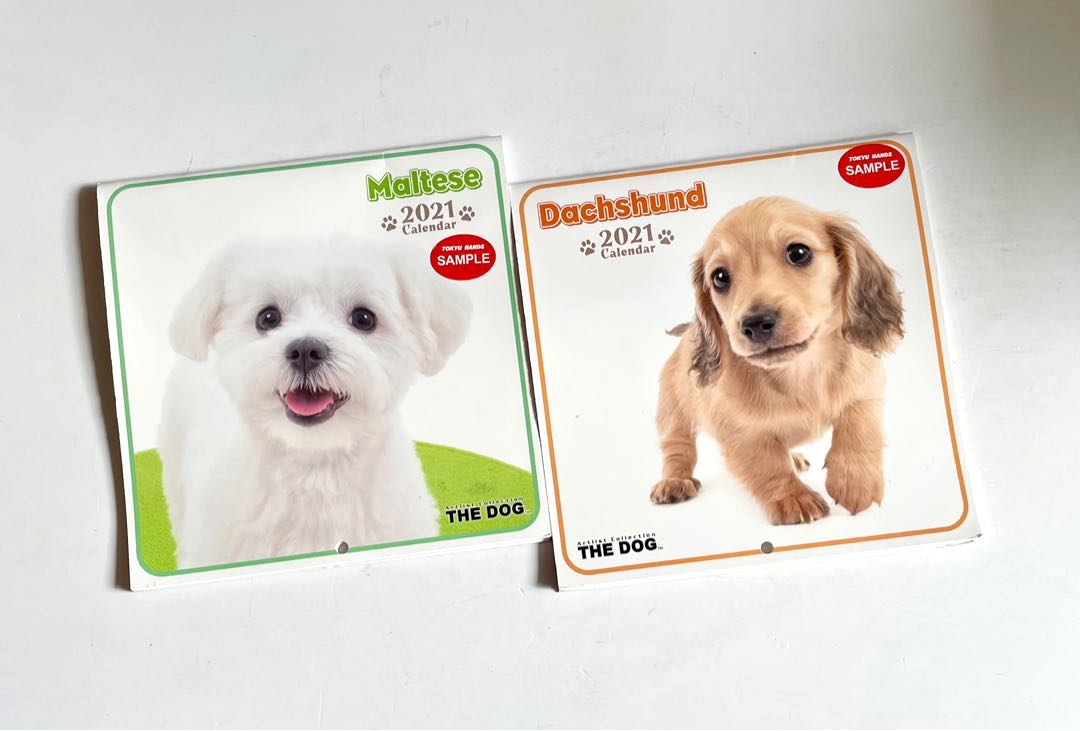Japan Artlist Collection The Dog 2021 Calendar Wall and Desk Calendars