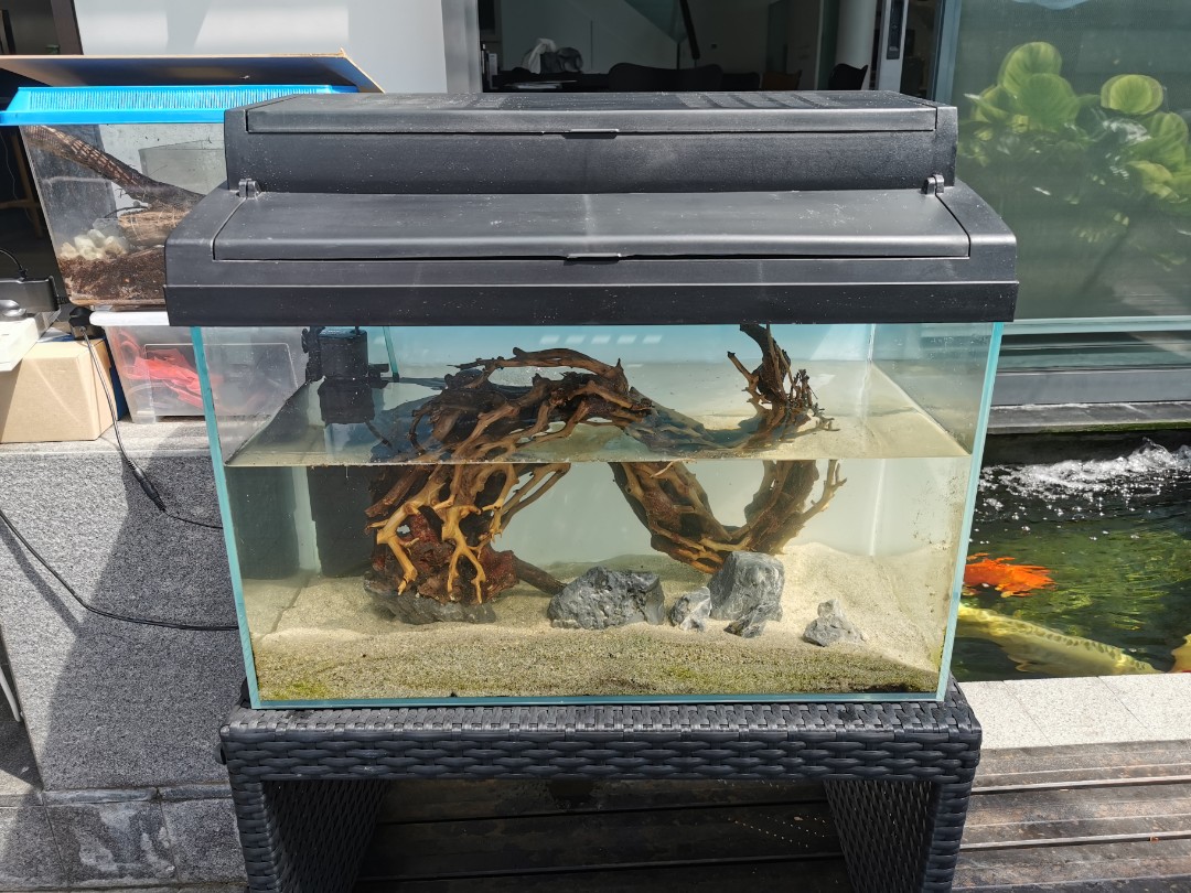 60 litre fish tank top